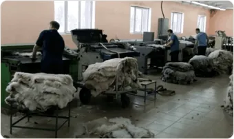Выделка овчины